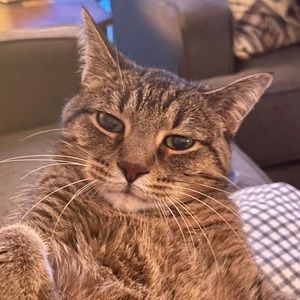 Meet your Posher, Bryson